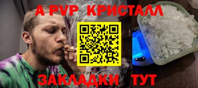 СК Новозыбков