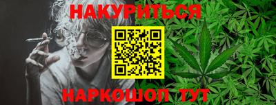 СК Новозыбков