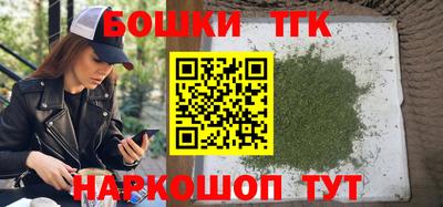 СК Новозыбков